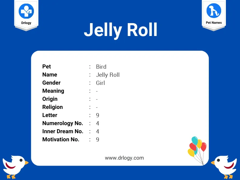 Jelly Roll Name Meaning